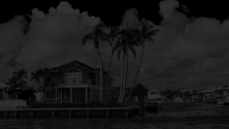 house with palm trees