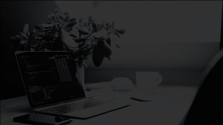 Angled view of an open laptop next to a medium sized house plant