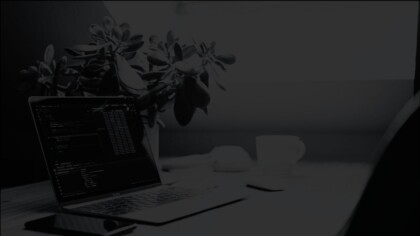 Angled view of an open laptop next to a medium sized house plant