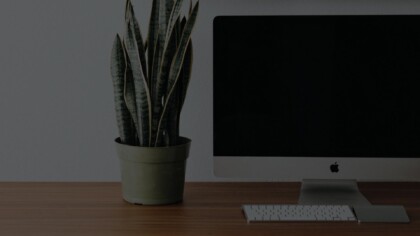 cactus and a computer on a desk