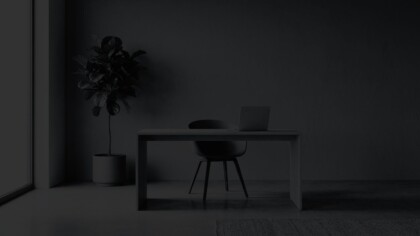 Minimalist desk setup with an office chair, laptop, and large houseplant by a sunlit window