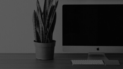 cactus and a mac computer on a desk