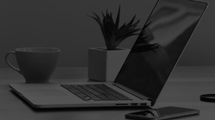 laptop and a plant sitting on a desk